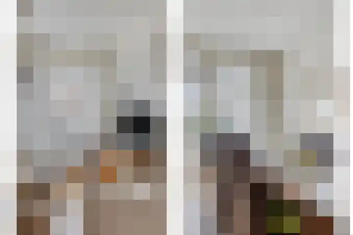 Elsakker 10 Wagenberg thumbnail 17