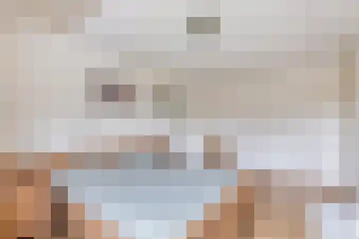 Elsakker 10 Wagenberg thumbnail 24