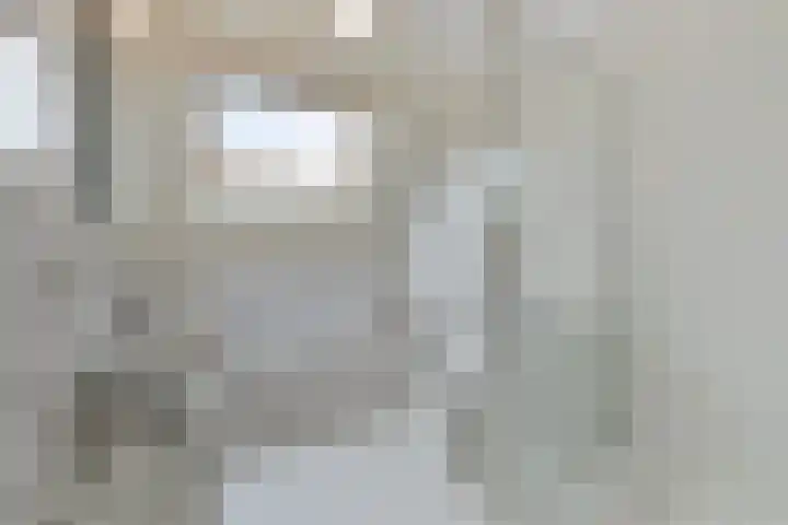 Elsakker 10 Wagenberg thumbnail 26