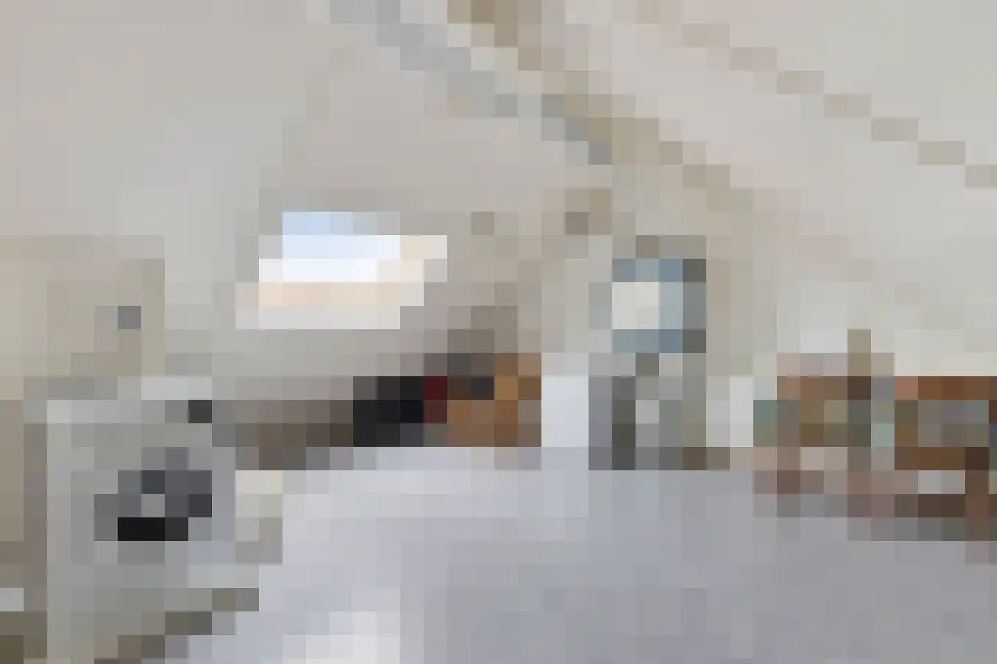 Elsakker 10 Wagenberg thumbnail 29
