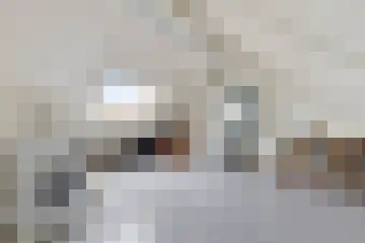 Elsakker 10 Wagenberg thumbnail 30