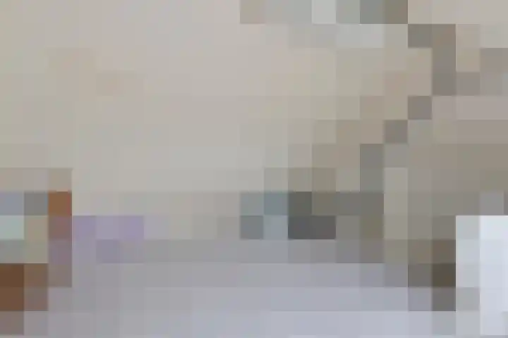 Elsakker 10 Wagenberg thumbnail 32