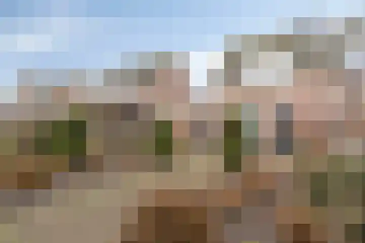 Elsakker 10 Wagenberg thumbnail 33