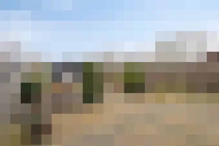 Elsakker 10 Wagenberg thumbnail 36