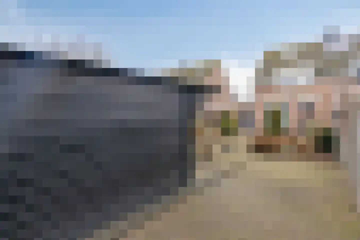 Elsakker 10 Wagenberg thumbnail 36