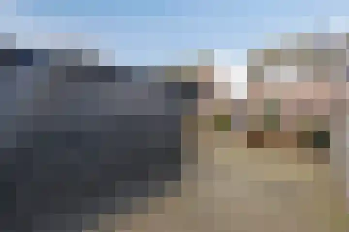 Elsakker 10 Wagenberg thumbnail 37