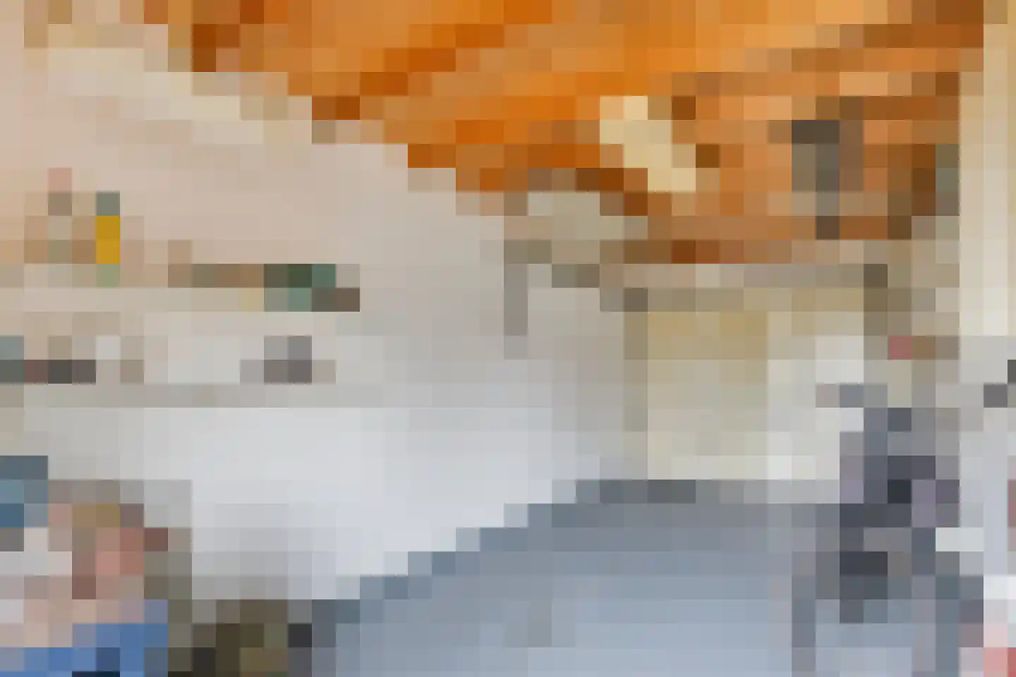 Elsakker 10 Wagenberg thumbnail 37