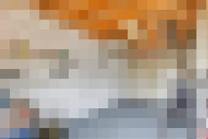Elsakker 10 Wagenberg thumbnail 39