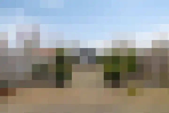 Elsakker 10 Wagenberg thumbnail 4