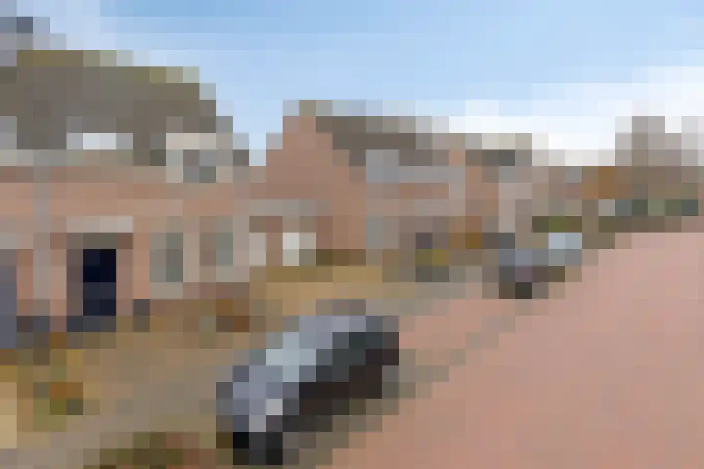 Elsakker 10 Wagenberg thumbnail 40