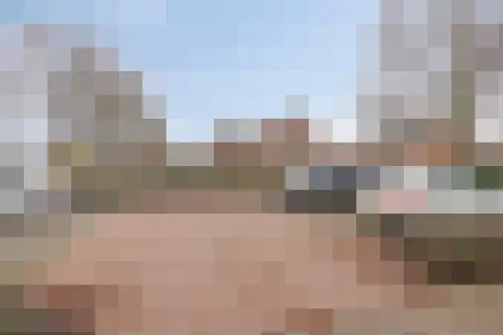 Elsakker 10 Wagenberg thumbnail 40
