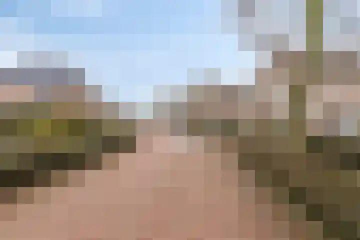 Elsakker 10 Wagenberg thumbnail 41