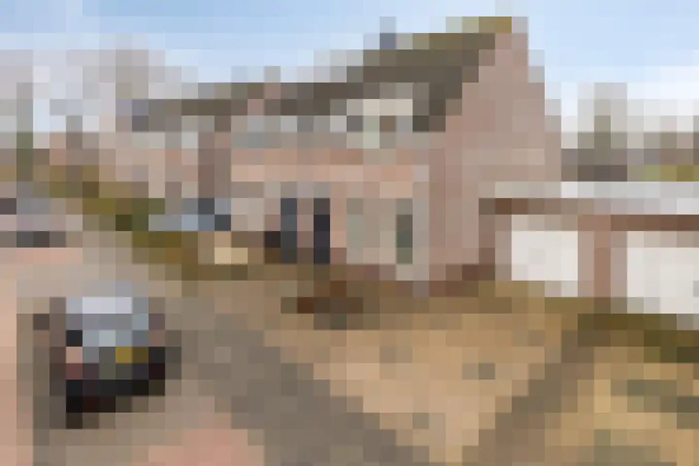 Elsakker 10 Wagenberg thumbnail 42