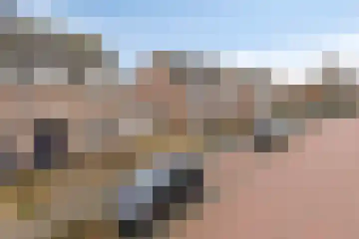 Elsakker 10 Wagenberg thumbnail 43