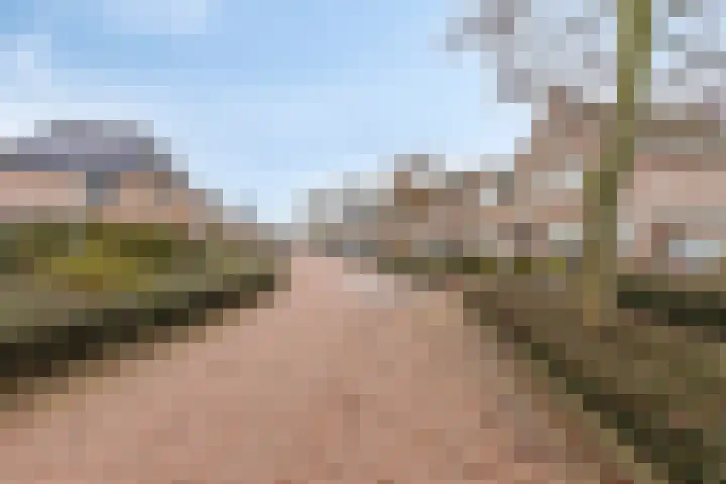 Elsakker 10 Wagenberg thumbnail 44
