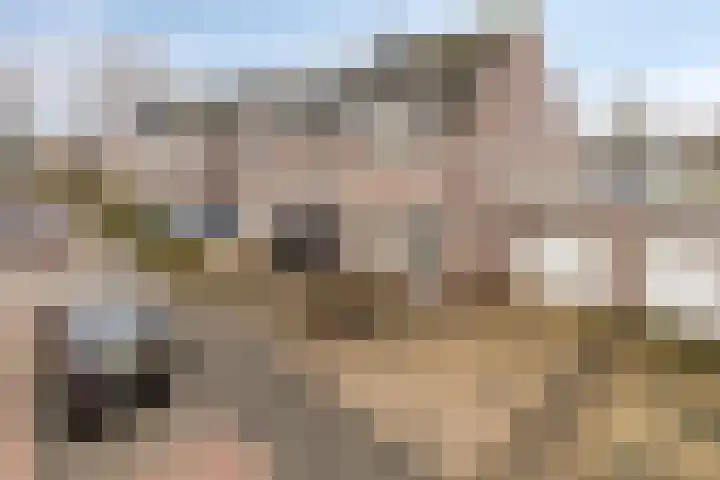 Elsakker 10 Wagenberg thumbnail 45
