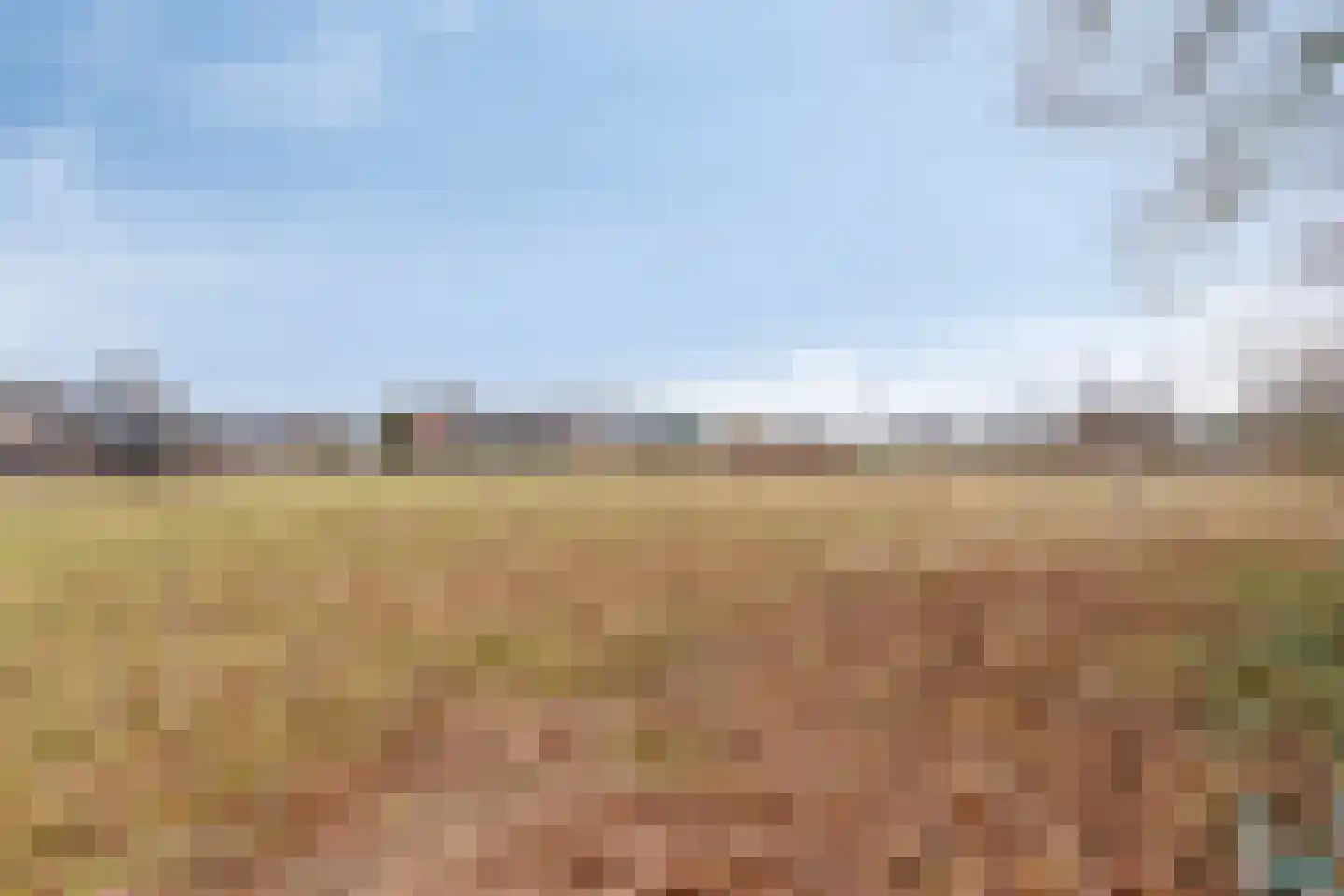 Elsakker 10 Wagenberg thumbnail 45