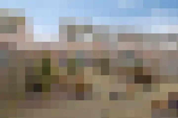 Elsakker 10 Wagenberg thumbnail 5