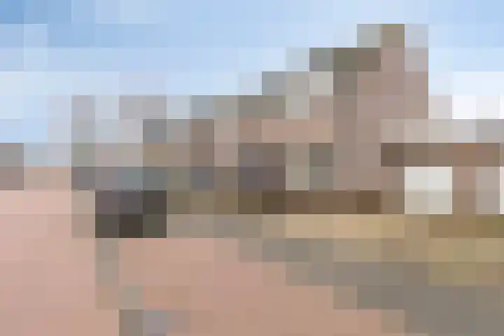 Elsakker 10 Wagenberg thumbnail 6