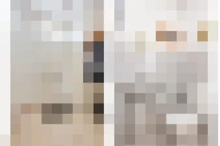 Elsakker 10 Wagenberg thumbnail 7
