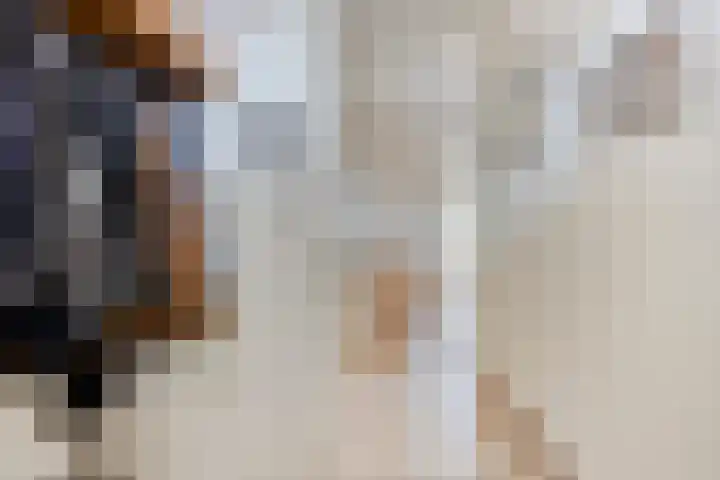Elsakker 10 Wagenberg thumbnail 9