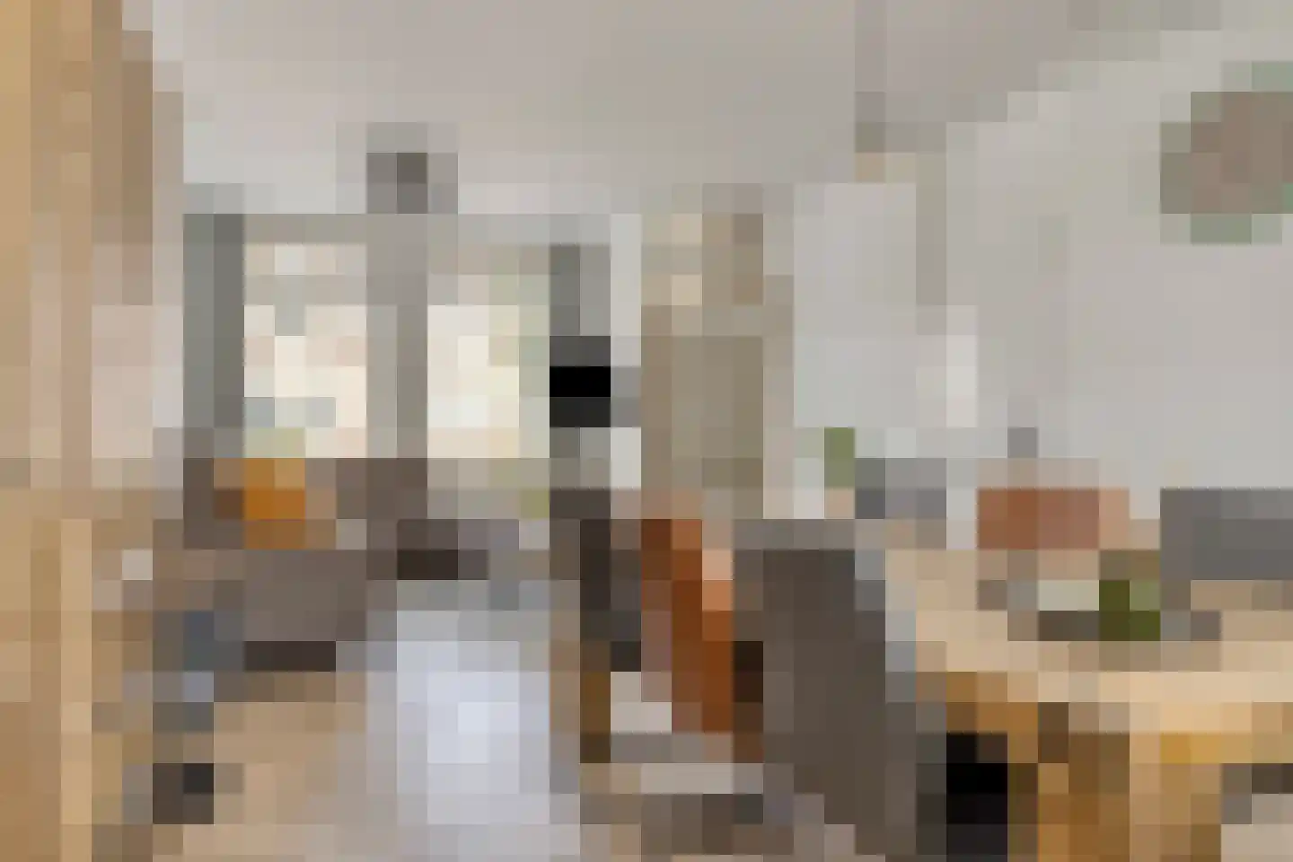 Elsakker 16 Wagenberg thumbnail 7