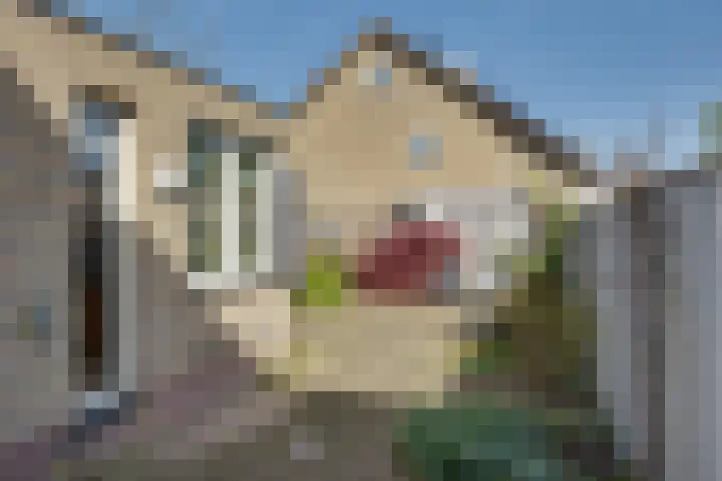 Elsakkersstraat 33 Hilvarenbeek thumbnail 53