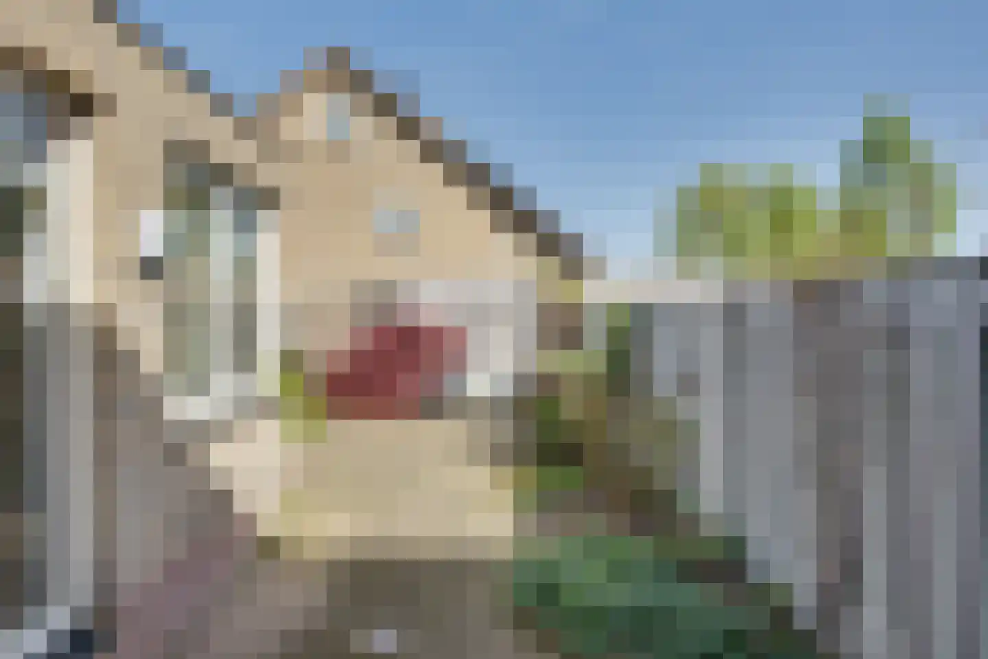 Elsakkersstraat 33 Hilvarenbeek thumbnail 56
