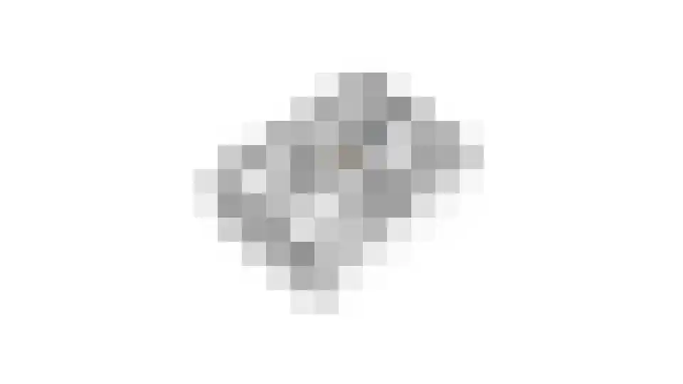 Elsakkersstraat 33 Hilvarenbeek thumbnail 62