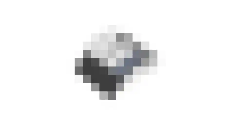 Elsakkersstraat 33 Hilvarenbeek thumbnail 64