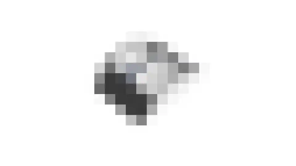 Elsakkersstraat 33 Hilvarenbeek thumbnail 65