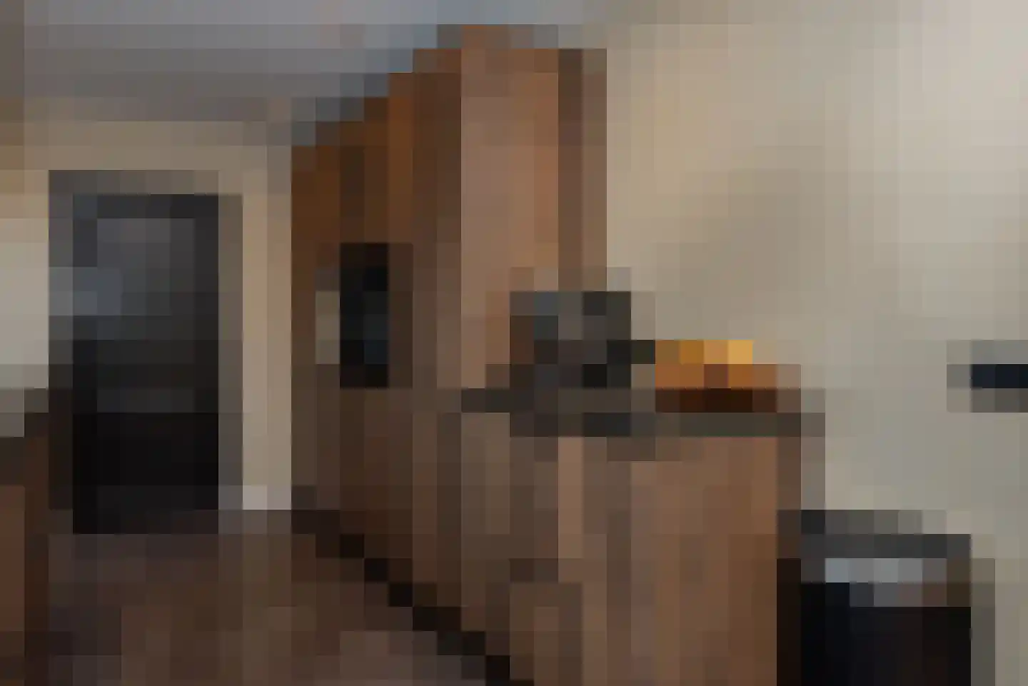 Elsakkerweg 1 't Harde thumbnail 18