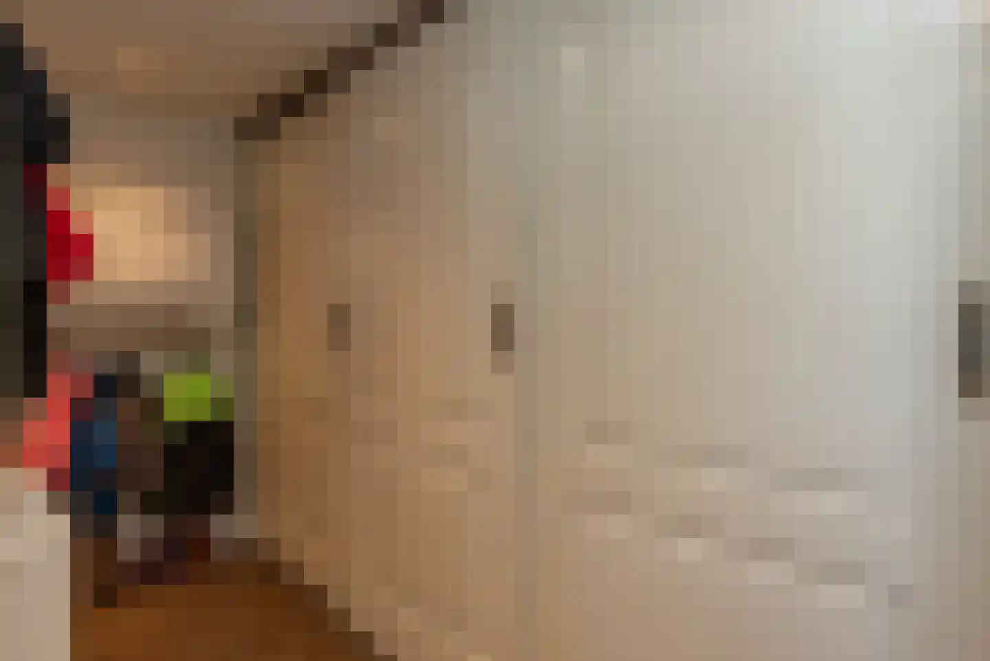 Elsakkerweg 1 't Harde thumbnail 22
