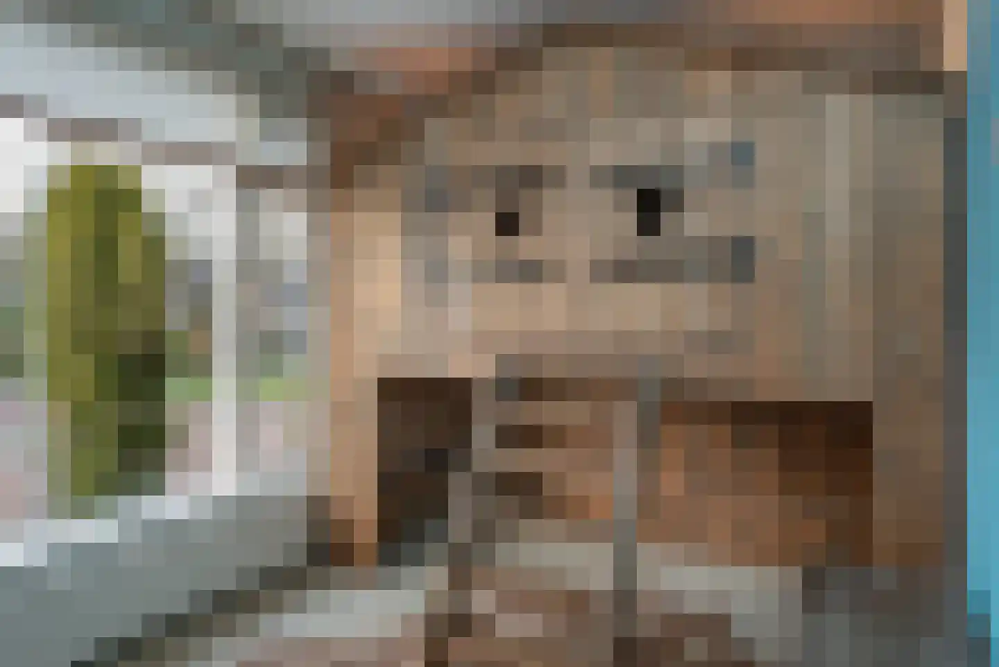 Elsakkerweg 1 't Harde thumbnail 28