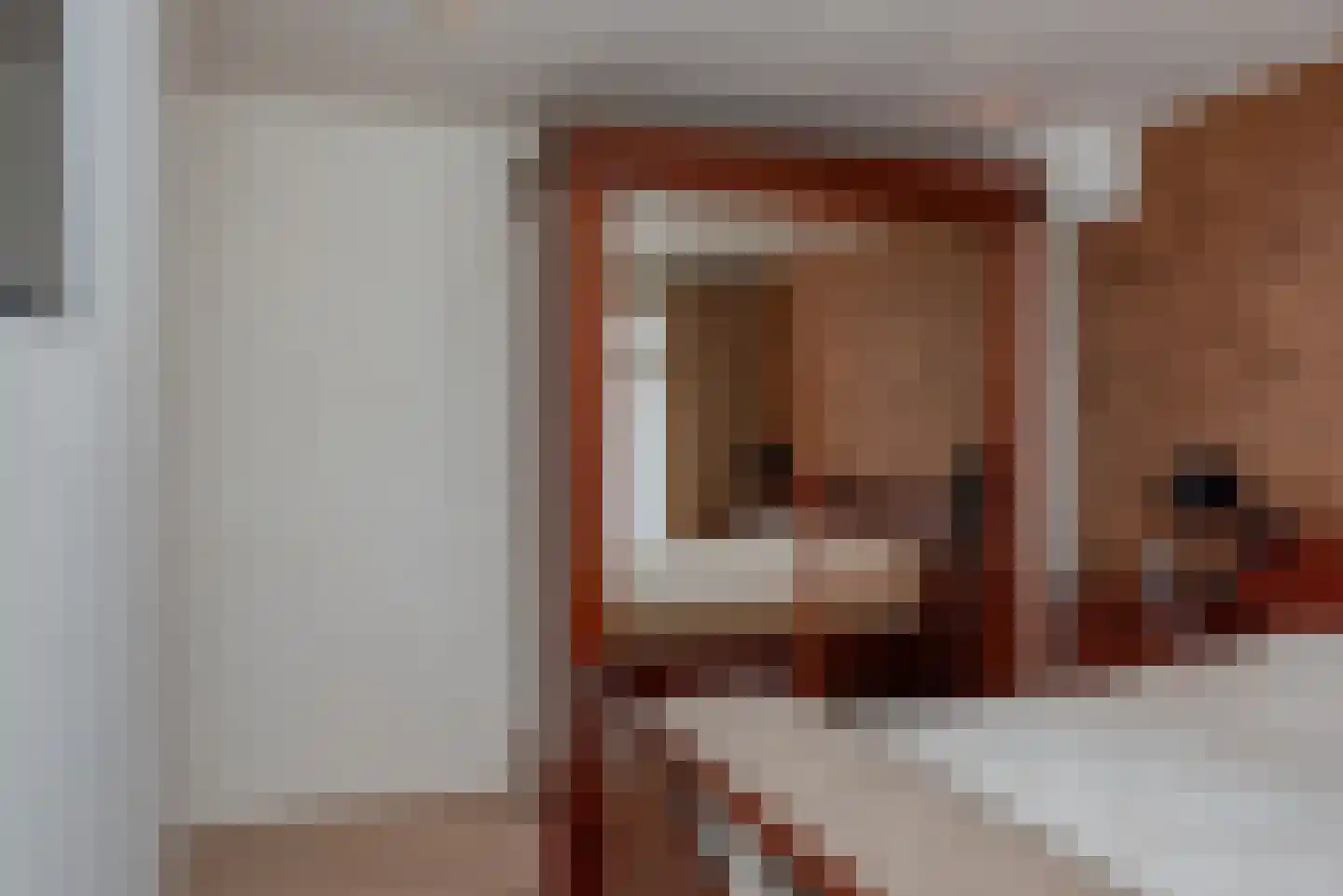 Elsakkerweg 1 't Harde thumbnail 32