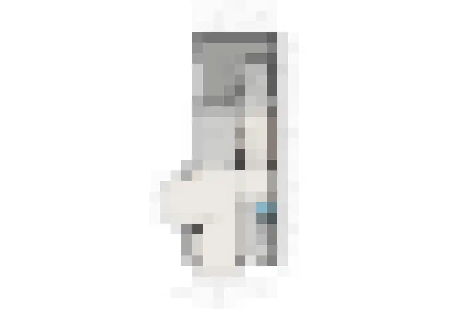 Elsakkerweg 1 't Harde thumbnail 56