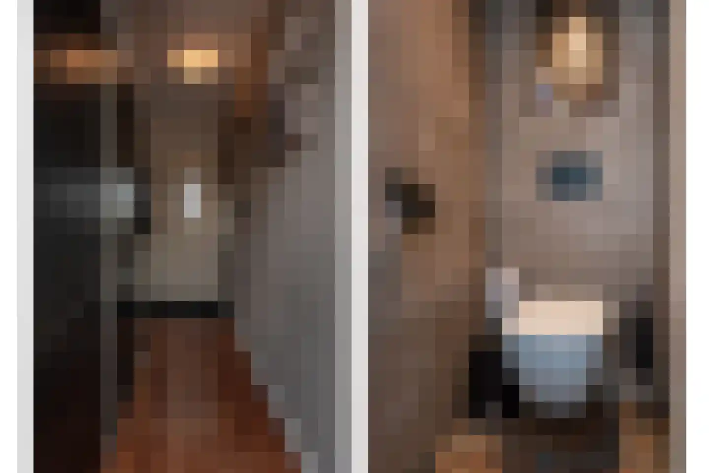 Elsakkerweg 1 't Harde thumbnail 6