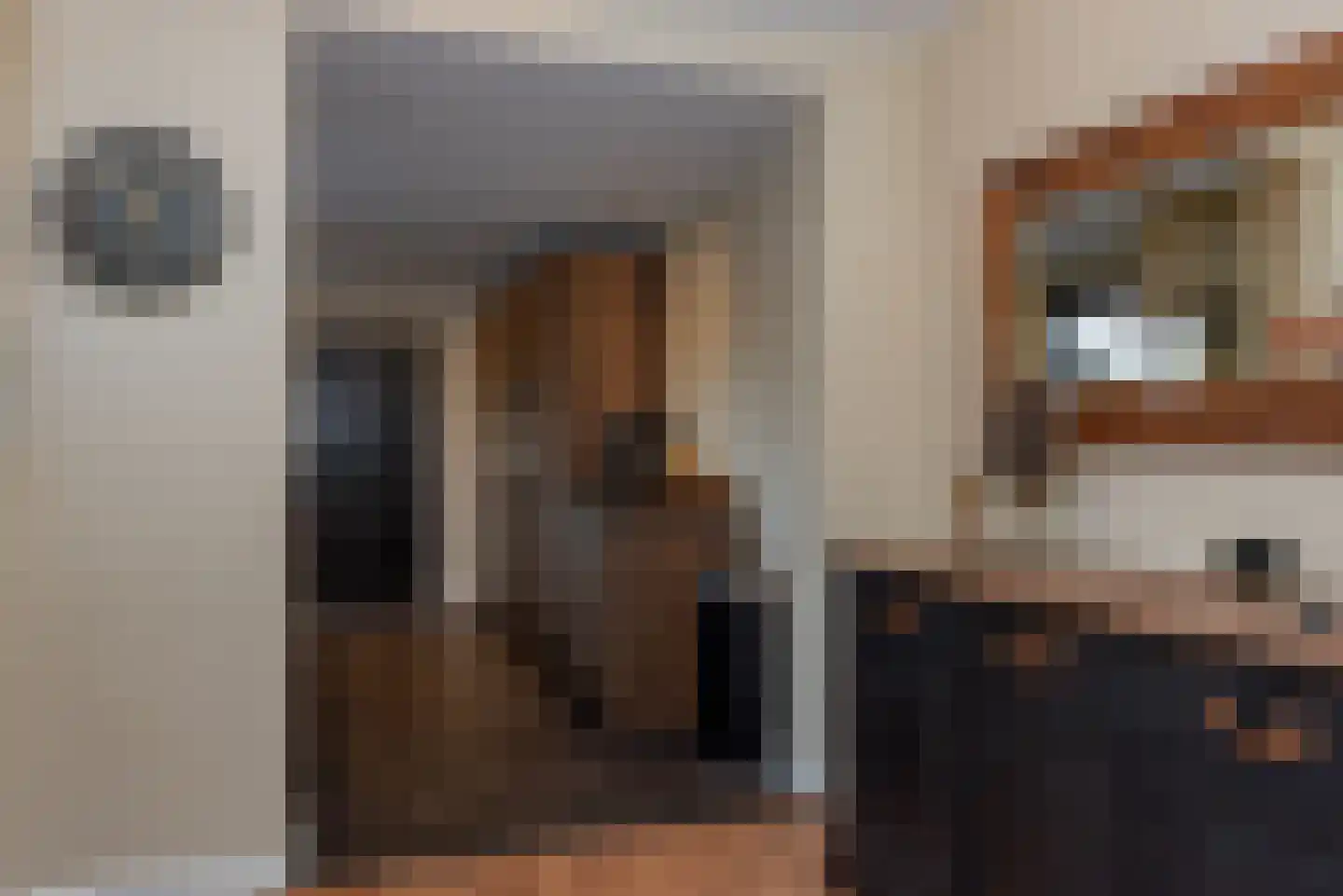 Elsakkerweg 1 't Harde thumbnail 7