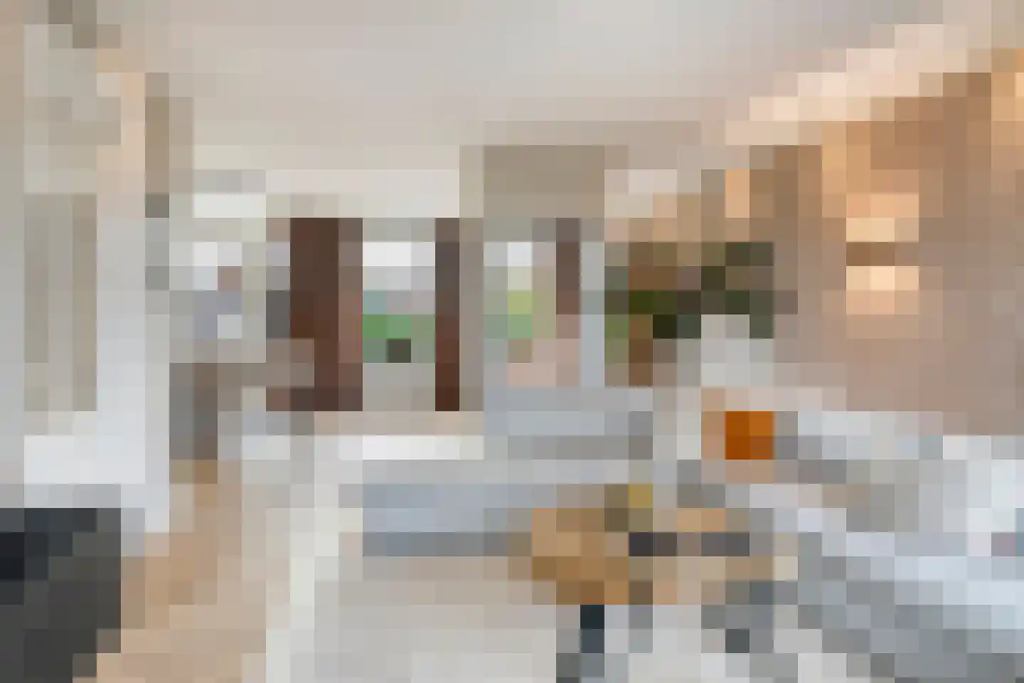 Elsanta 14 St. Willebrord thumbnail 13