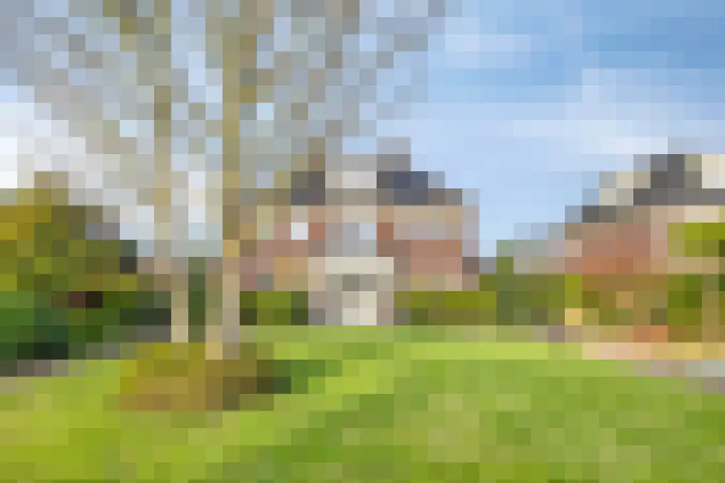 Elsanta 14 St. Willebrord thumbnail 4