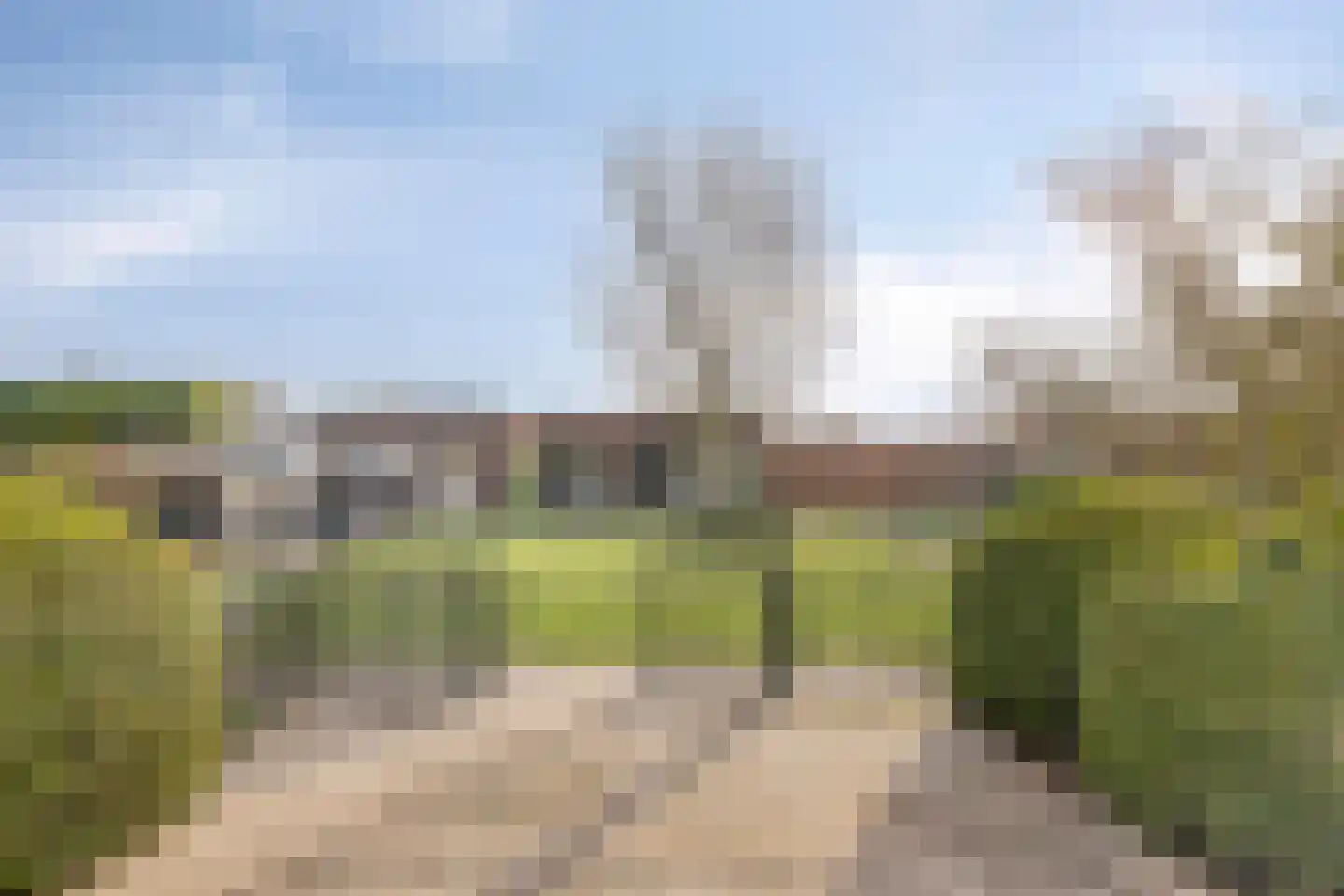 Elsanta 14 St. Willebrord thumbnail 45