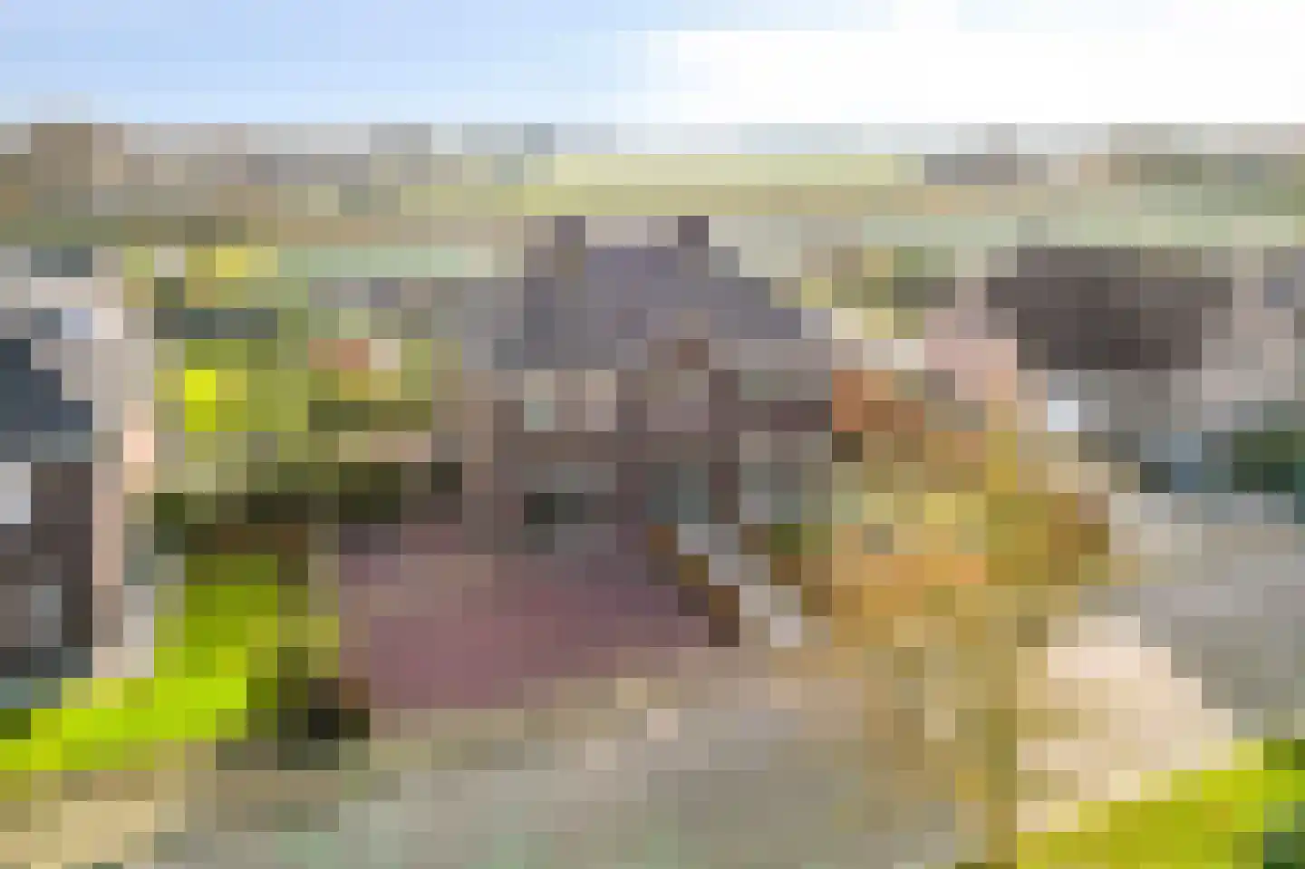 Elsanta 14 St. Willebrord thumbnail 5