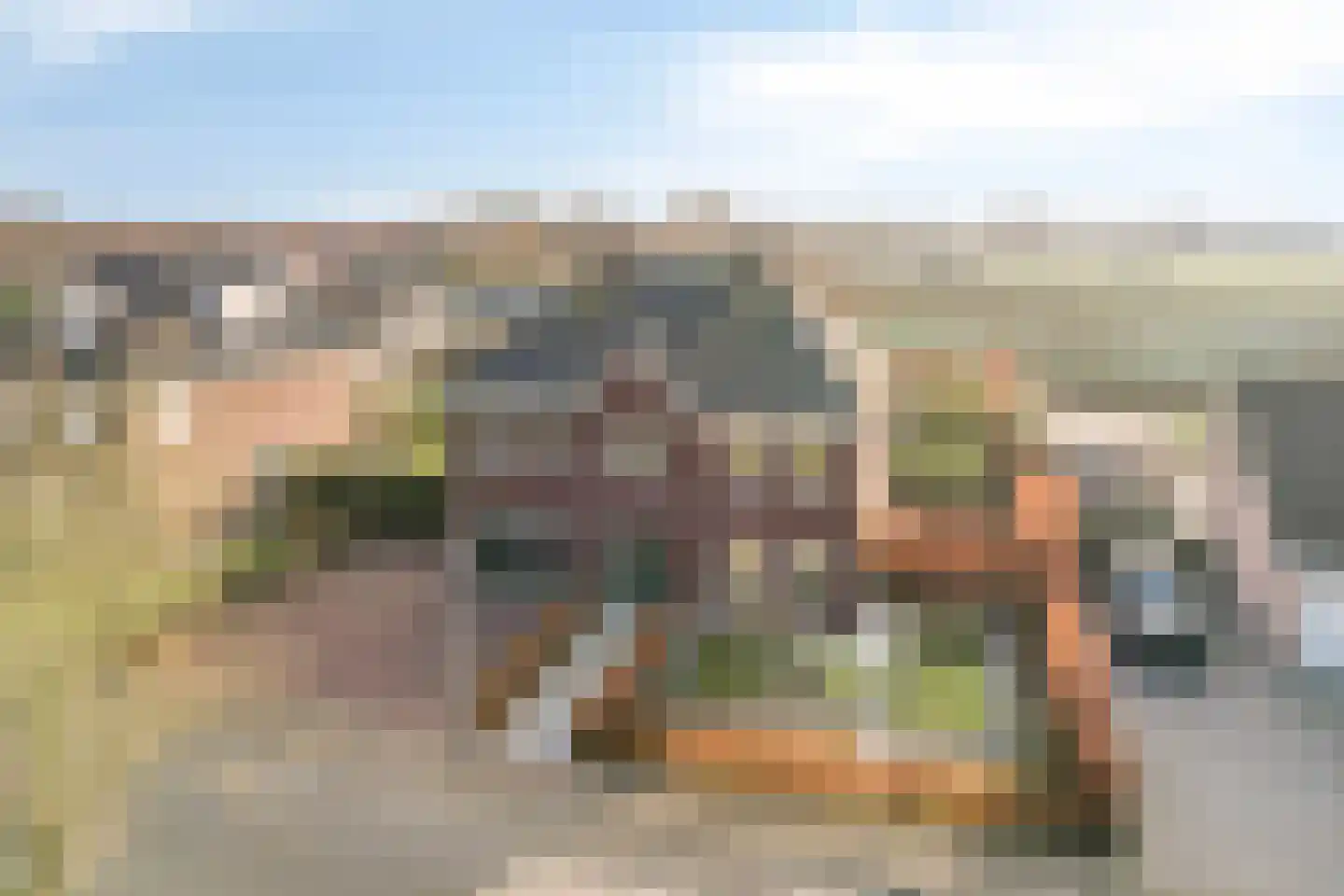 Elsanta 14 St. Willebrord thumbnail 57