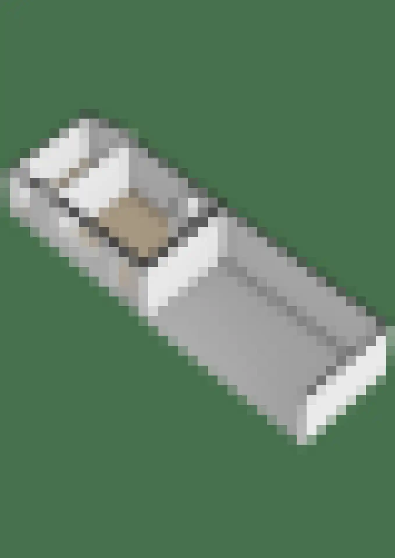 Elsanta 14 St. Willebrord thumbnail 65