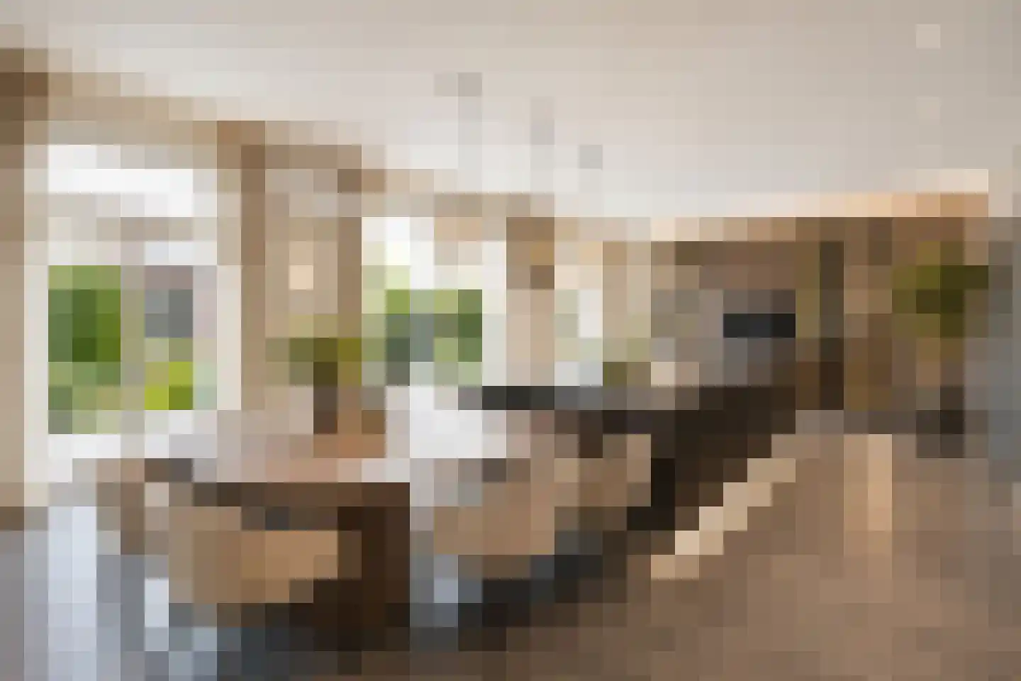 Elsanta 20 St. Willebrord thumbnail 12