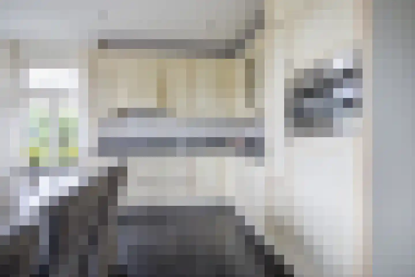 Elsanta 20 St. Willebrord thumbnail 17