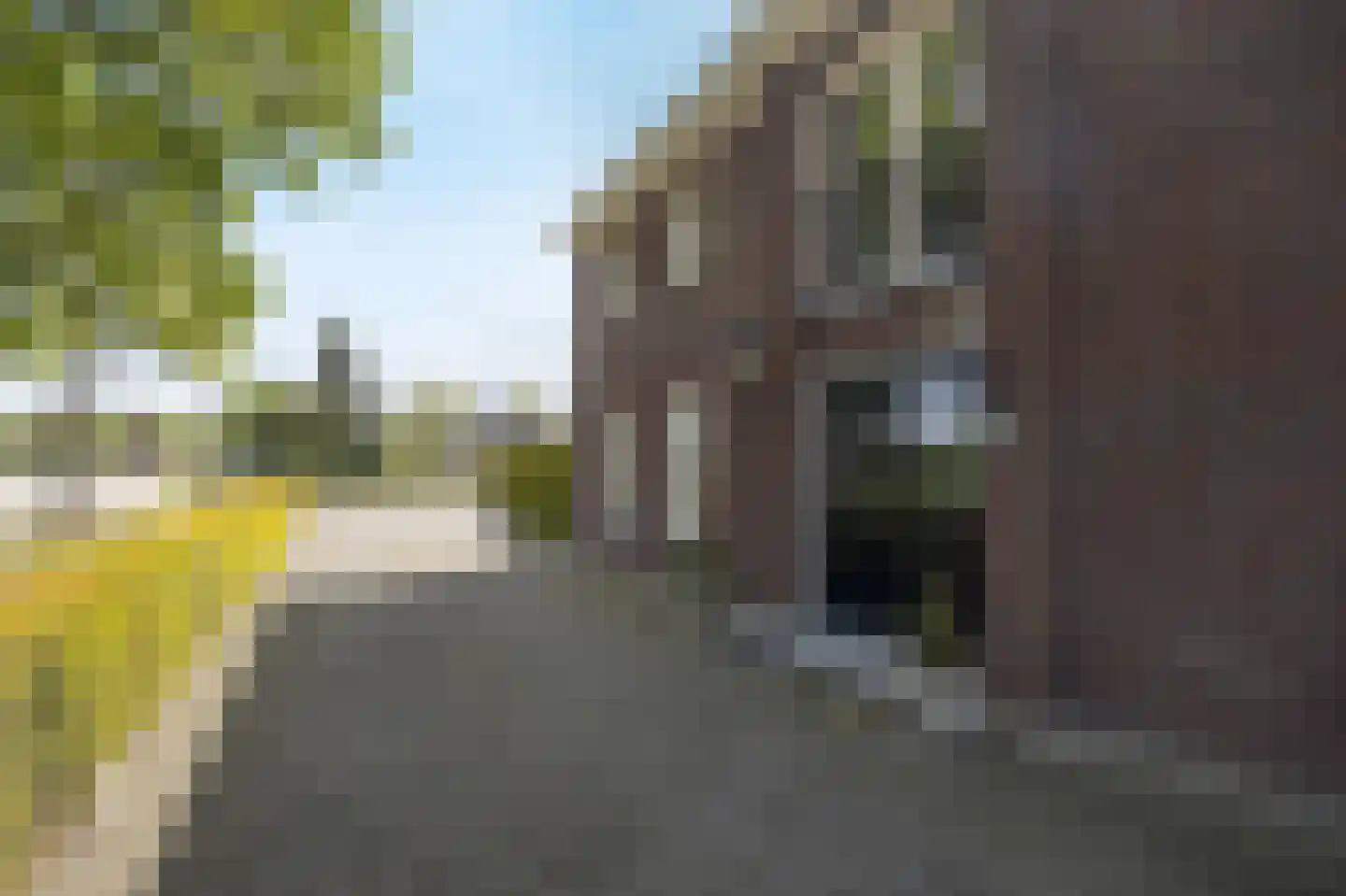 Elsanta 20 St. Willebrord thumbnail 5