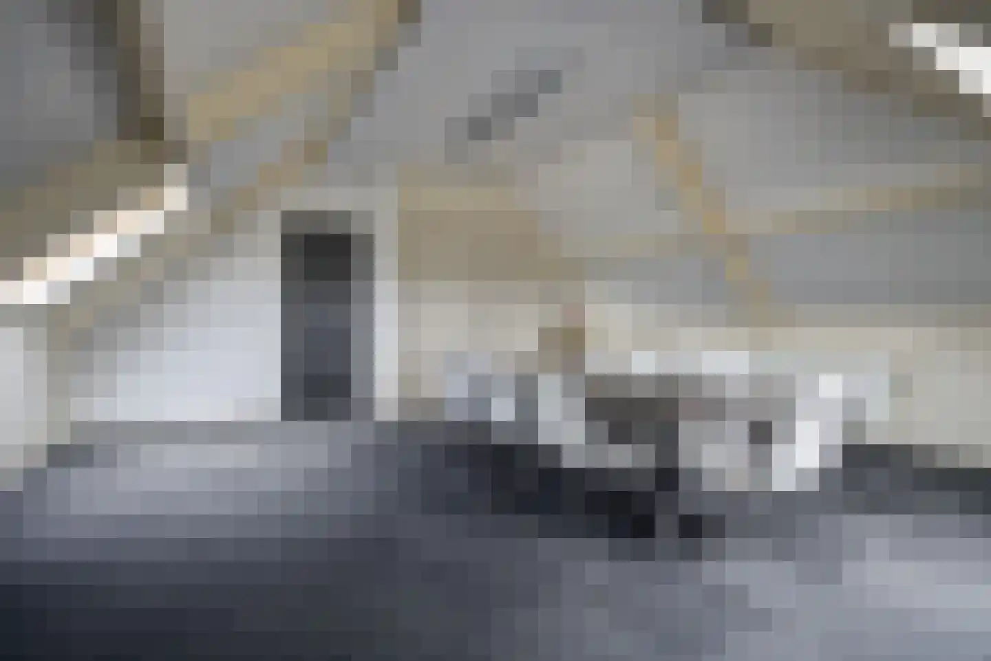 Elsanta 20 St. Willebrord thumbnail 53