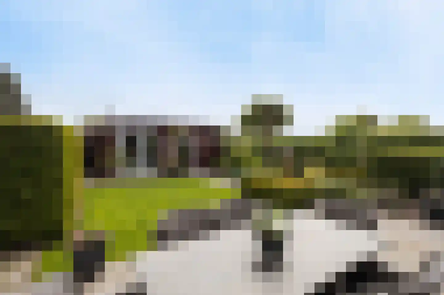 Elsanta 20 St. Willebrord thumbnail 58