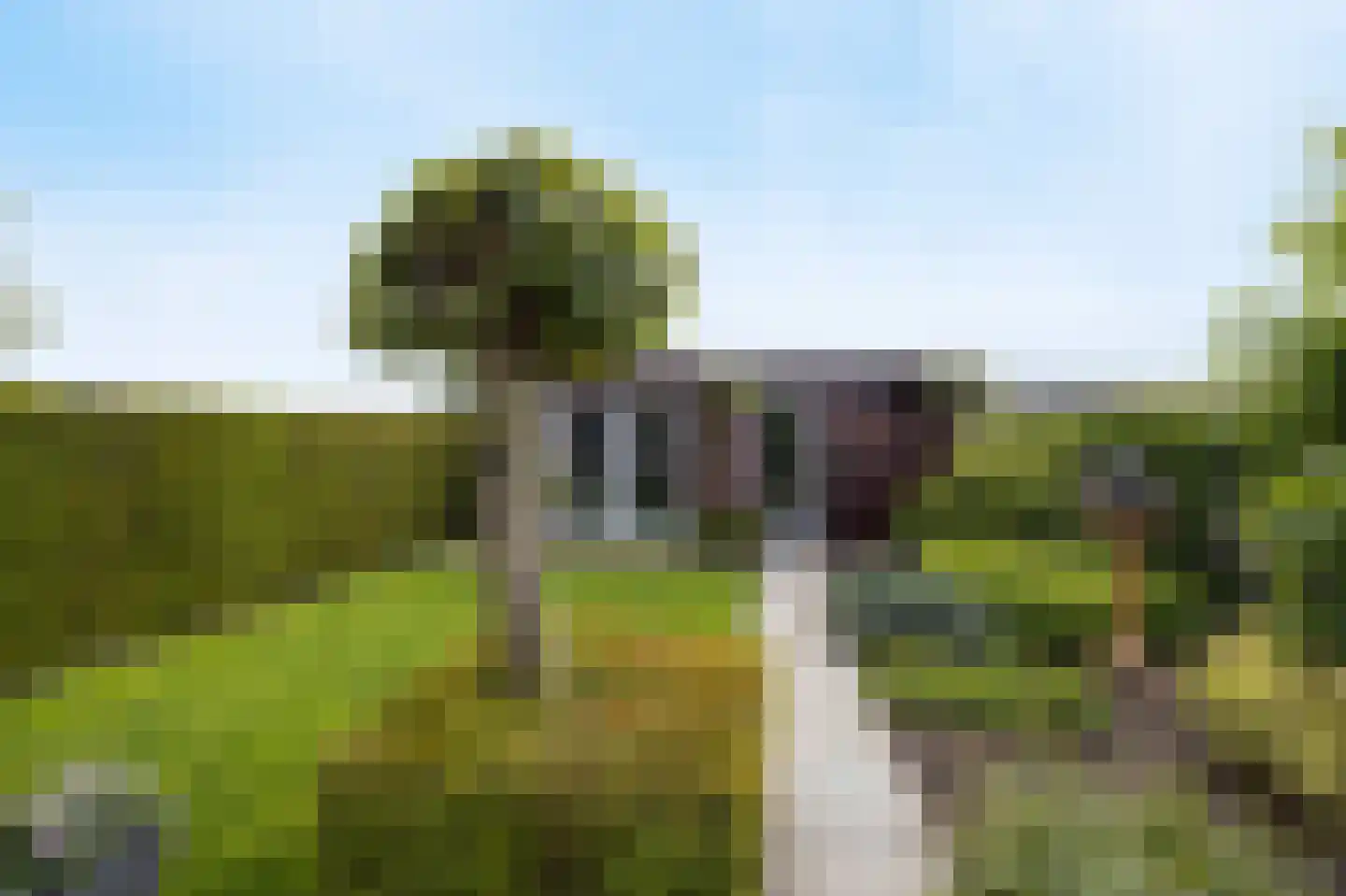 Elsanta 20 St. Willebrord thumbnail 59